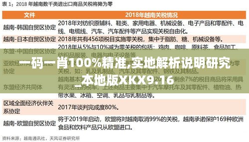 一码一肖100%精准,实地解析说明研究_本地版XKX9.16