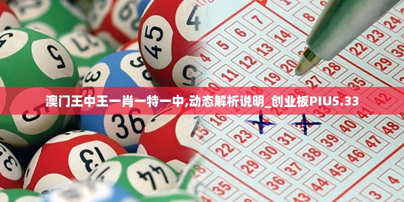 澳门王中王一肖一特一中,动态解析说明_创业板PIU5.33