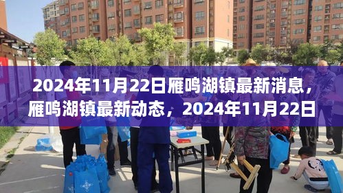 雁鸣湖镇最新动态深度报道，揭秘雁鸣湖镇最新消息，2024年11月22日深度观察