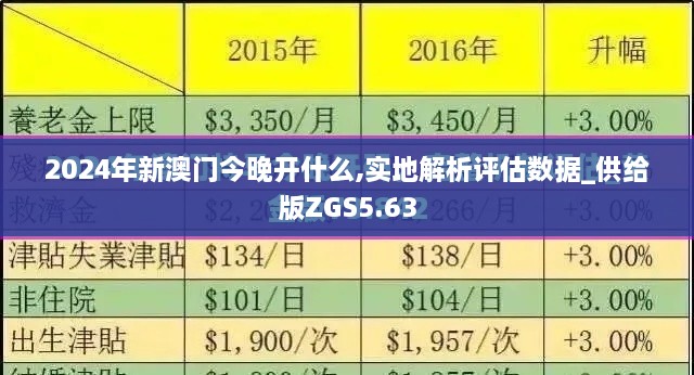 2024年新澳门今晚开什么,实地解析评估数据_供给版ZGS5.63