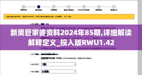 新奥管家婆资料2024年85期,详细解读解释定义_投入版RWU1.42