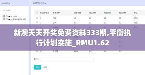 新澳天天开奖免费资料333期,平衡执行计划实施_RMU1.62