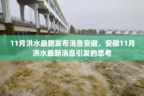 11月洪水最新发布消息安徽，安徽11月洪水最新消息引发的思考