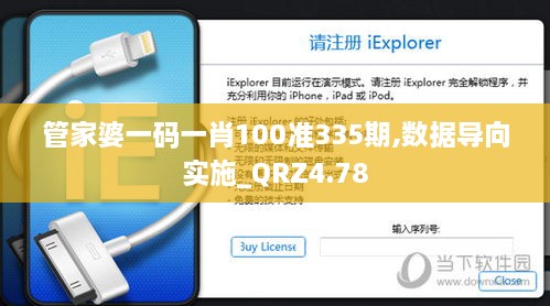 管家婆一码一肖100准335期,数据导向实施_QRZ4.78