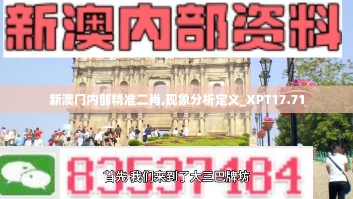 新澳门内部精准二肖,现象分析定义_XPT17.71