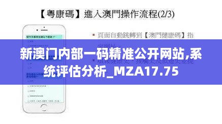 新澳门内部一码精准公开网站,系统评估分析_MZA17.75