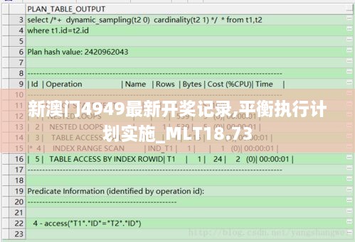 新澳门4949最新开奖记录,平衡执行计划实施_MLT18.73