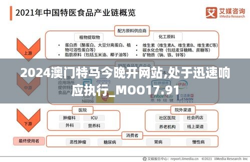 2024澳门特马今晚开网站,处于迅速响应执行_MOO17.91