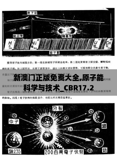 新澳门正版免费大全,原子能科学与技术_CBR17.2