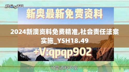 2024新澳资料免费精准,社会责任法案实施_YSH18.49