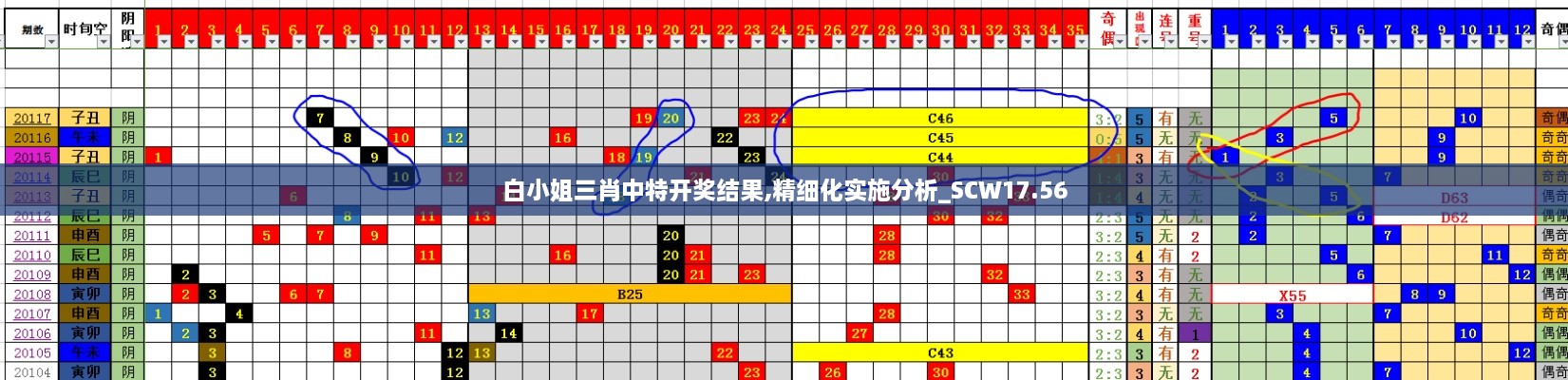 白小姐三肖中特开奖结果,精细化实施分析_SCW17.56