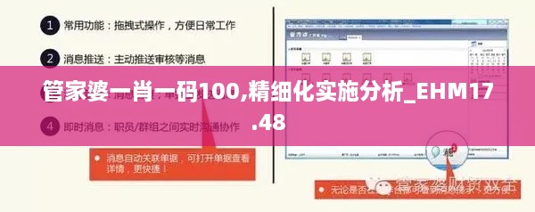 管家婆一肖一码100,精细化实施分析_EHM17.48