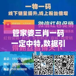 管家婆三肖一码一定中特,数据引导执行策略_HUQ17.17