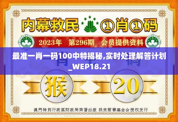 最准一肖一码100中特揭秘,实时处理解答计划_WEP18.21