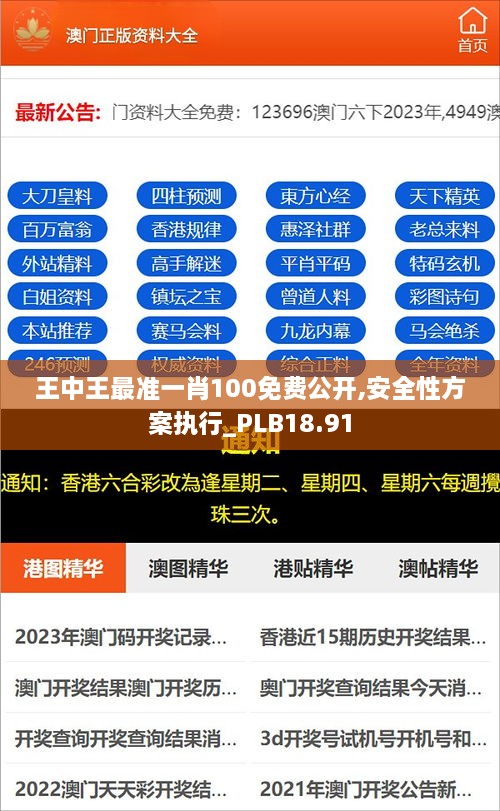 王中王最准一肖100免费公开,安全性方案执行_PLB18.91