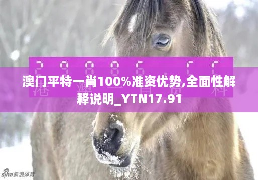 澳门平特一肖100%准资优势,全面性解释说明_YTN17.91