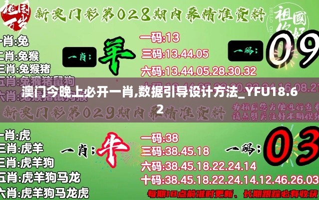 澳门今晚上必开一肖,数据引导设计方法_YFU18.62