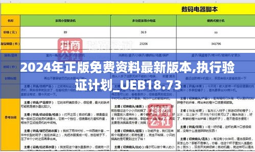 2024年正版免费资料最新版本,执行验证计划_UEB18.73