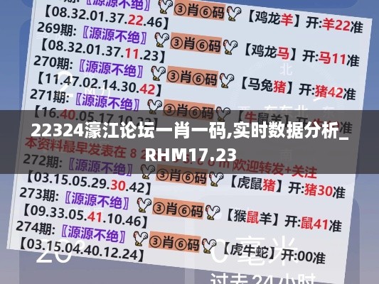 22324濠江论坛一肖一码,实时数据分析_RHM17.23