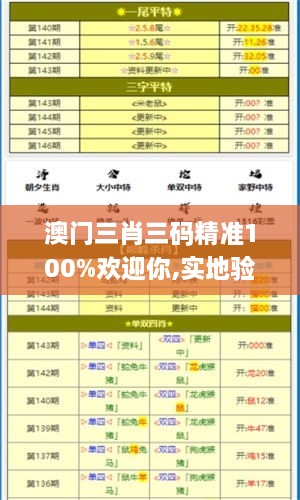 澳门三肖三码精准100%欢迎你,实地验证实施_WAP18.4