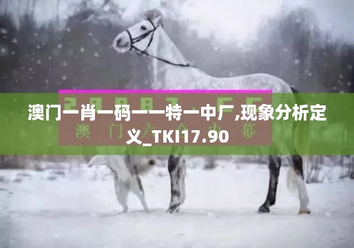 澳门一肖一码一一特一中厂,现象分析定义_TKI17.90