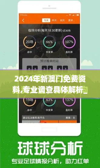 2024年新澳门免费资料,专业调查具体解析_FIE17.41