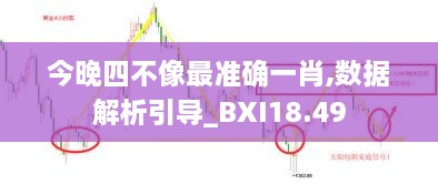 今晚四不像最准确一肖,数据解析引导_BXI18.49