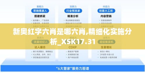 新奥红字六肖是哪六肖,精细化实施分析_XSK17.31