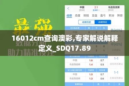 16012cm查询澳彩,专家解说解释定义_SDQ17.89