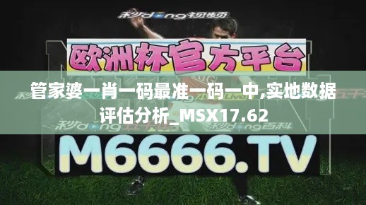 管家婆一肖一码最准一码一中,实地数据评估分析_MSX17.62