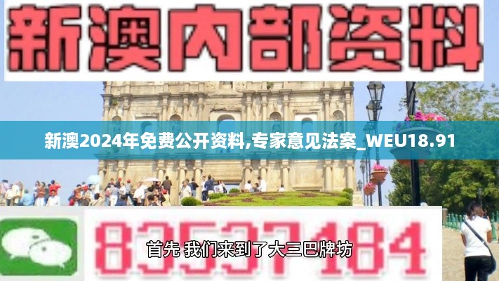 新澳2024年免费公开资料,专家意见法案_WEU18.91