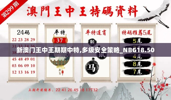 新澳门王中王期期中特,多级安全策略_NBG18.50