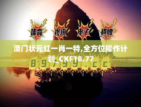 澳门状元红一肖一特,全方位操作计划_CXF18.77