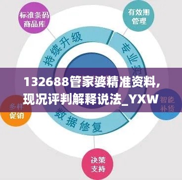 132688管家婆精准资料,现况评判解释说法_YXW18.32