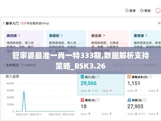 管家婆最准一肖一特333期,数据解析支持策略_BSK3.26