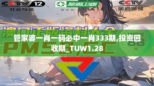 管家婆一肖一码必中一肖333期,投资回收期_TUW1.28