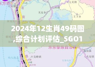 2024年12生肖49码图,综合计划评估_SGO18.70