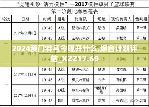 2024澳门特马今晚开什么,综合计划评估_XZZ17.69