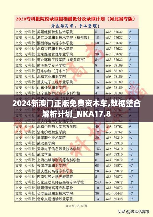 2024新澳门正版免费资木车,数据整合解析计划_NKA17.8