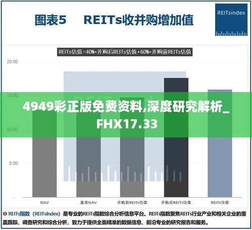 4949彩正版免费资料,深度研究解析_FHX17.33