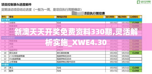 新澳天天开奖免费资料330期,灵活解析实施_XWE4.30