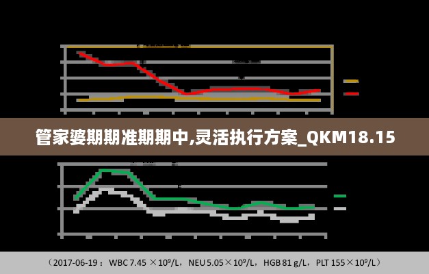 管家婆期期准期期中,灵活执行方案_QKM18.15