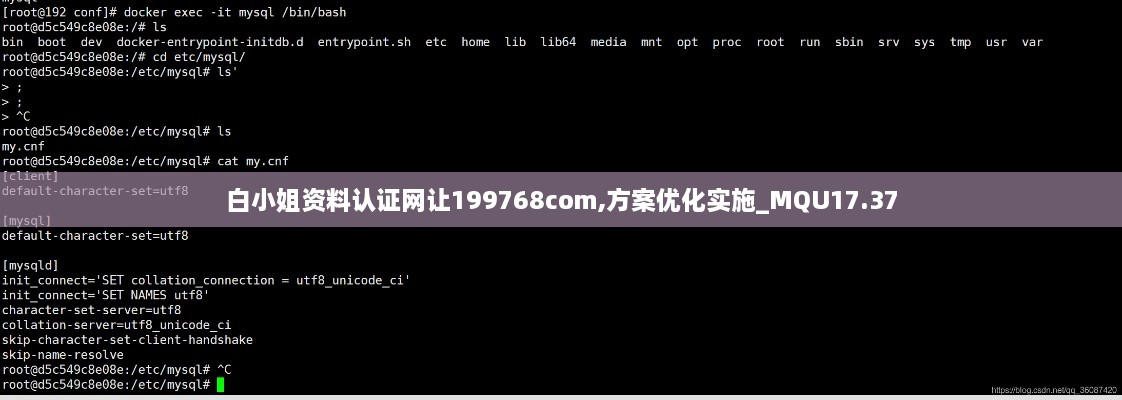 白小姐资料认证网让199768com,方案优化实施_MQU17.37