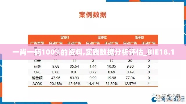 一肖一码100%的资料,实践数据分析评估_BIE18.1