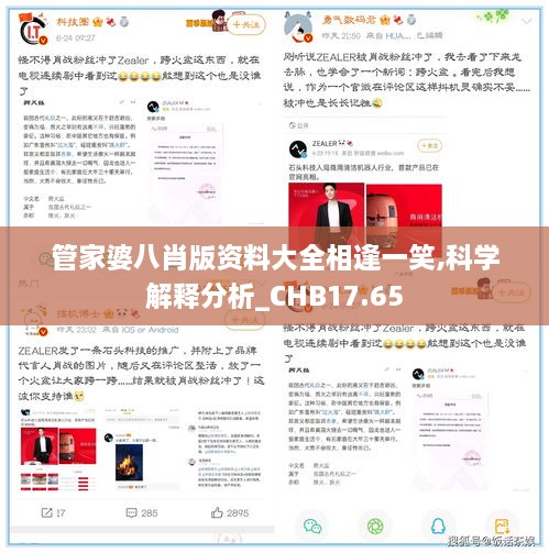 管家婆八肖版资料大全相逢一笑,科学解释分析_CHB17.65