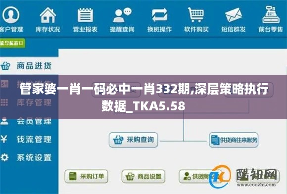 管家婆一肖一码必中一肖332期,深层策略执行数据_TKA5.58