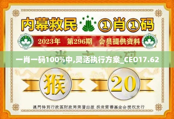 一肖一码100%中,灵活执行方案_CEO17.62