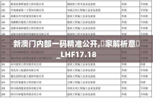 新澳门内部一码精准公开,專家解析意見_LHF17.18