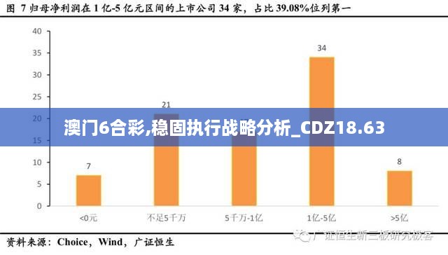 澳门6合彩,稳固执行战略分析_CDZ18.63