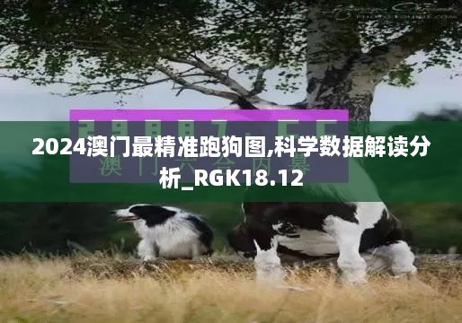 2024澳门最精准跑狗图,科学数据解读分析_RGK18.12